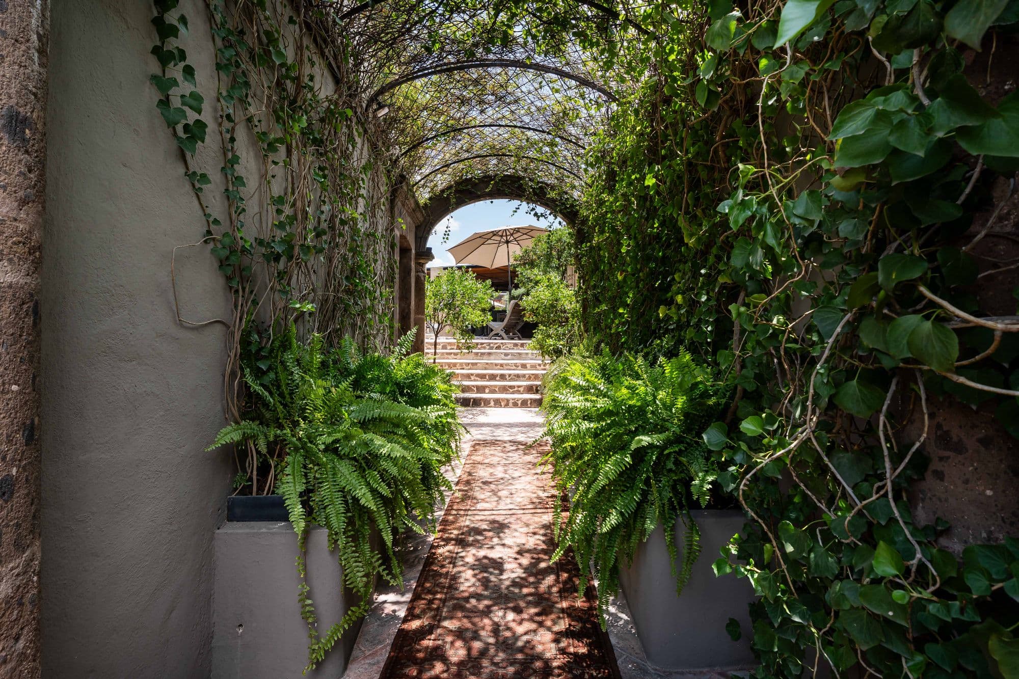 Casa No Name — Centro, San Miguel de Allende — photo 22 — verdant arched passageway, timeless charm