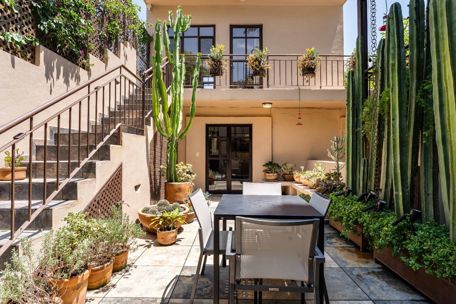 Casa 28 — Centro, San Miguel de Allende — photo 12 — sophisticated courtyard with soaring cacti