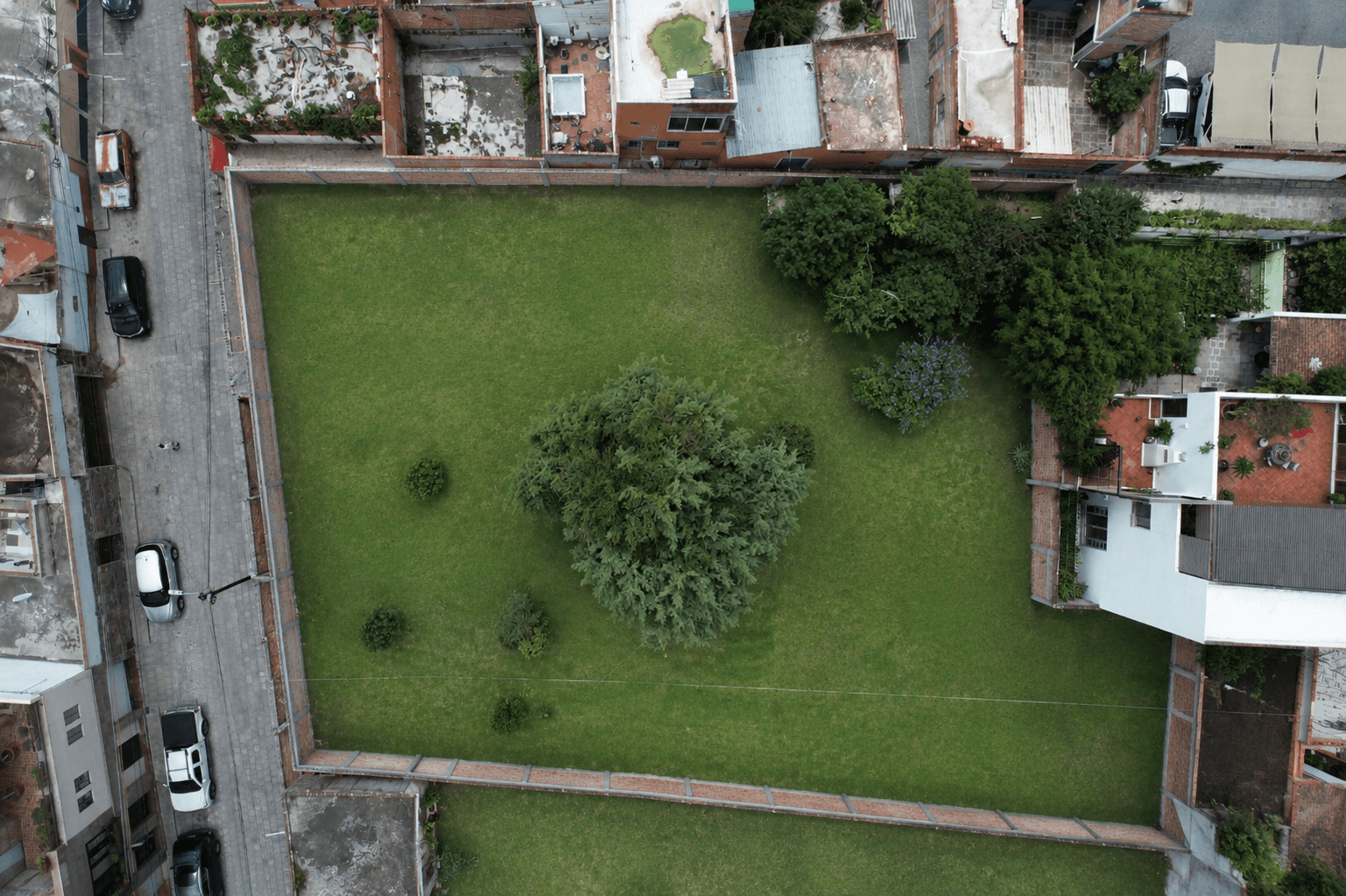 San Antonio Investment Lot — San Antonio, San Miguel de Allende — photo 3 — verdant garden, charming colonial neighborhood