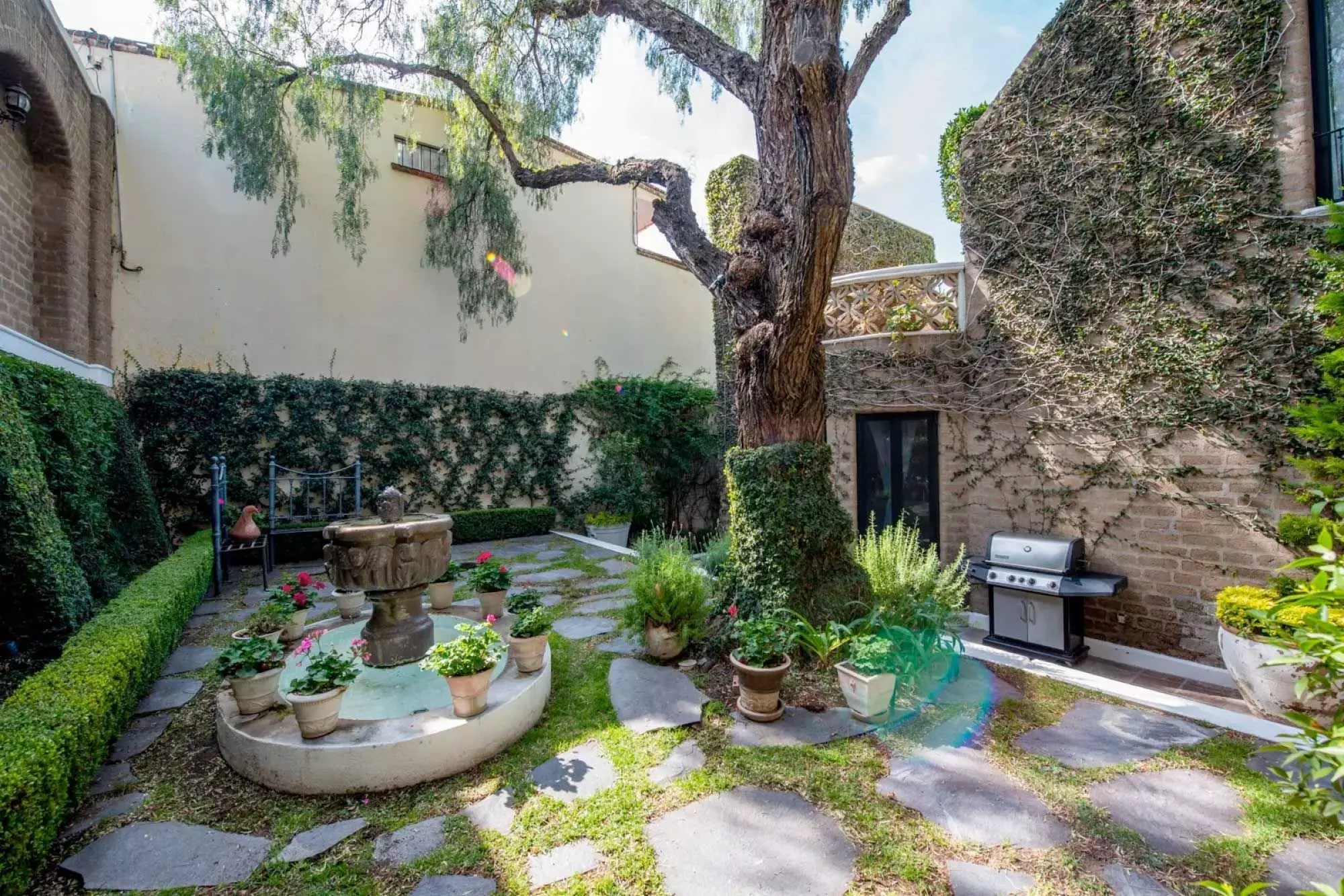 Casa Mi Besito — Atascadero (Arcos de San Miguel), San Miguel de Allende — photo 18 — enchanting courtyard with mature heritage tree
