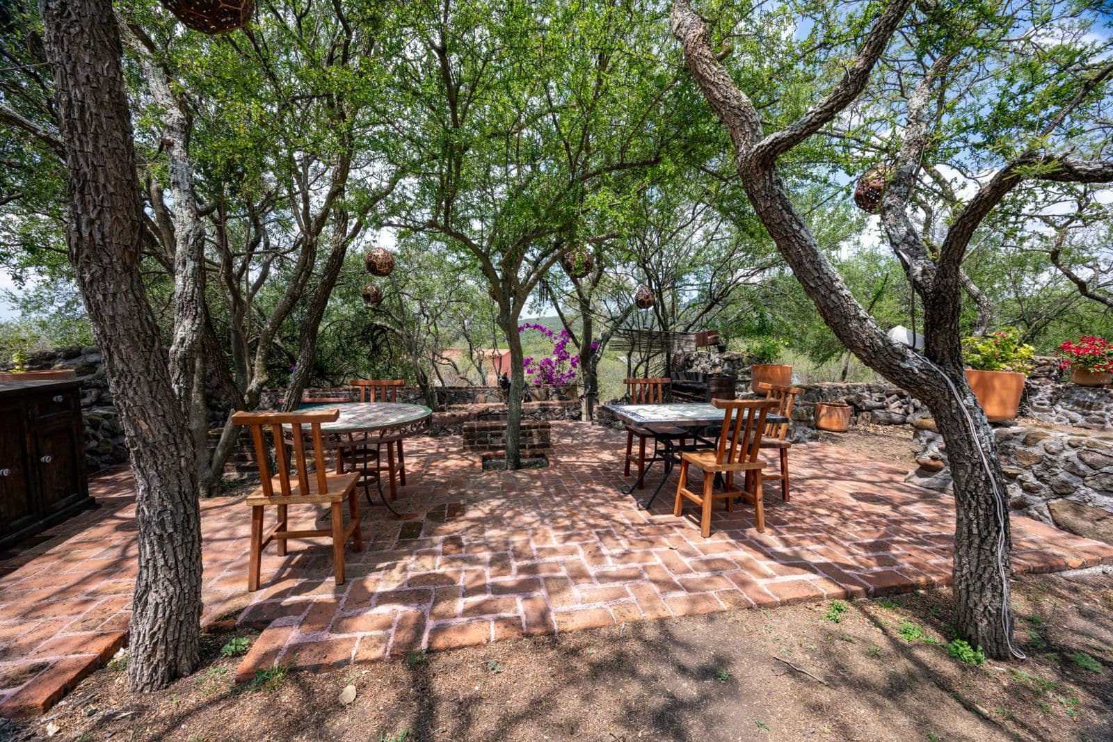 Campo Azul — San Miguel de Allende Centro, San Miguel de Allende — photo 14 — shaded courtyard with mature trees