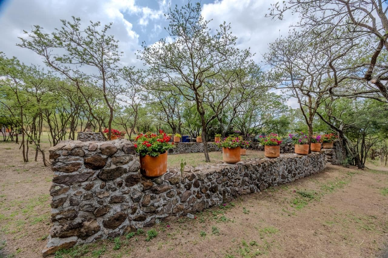 Campo Azul — San Miguel de Allende Centro, San Miguel de Allende — photo 5 — rustic stone walls, blooming gardens