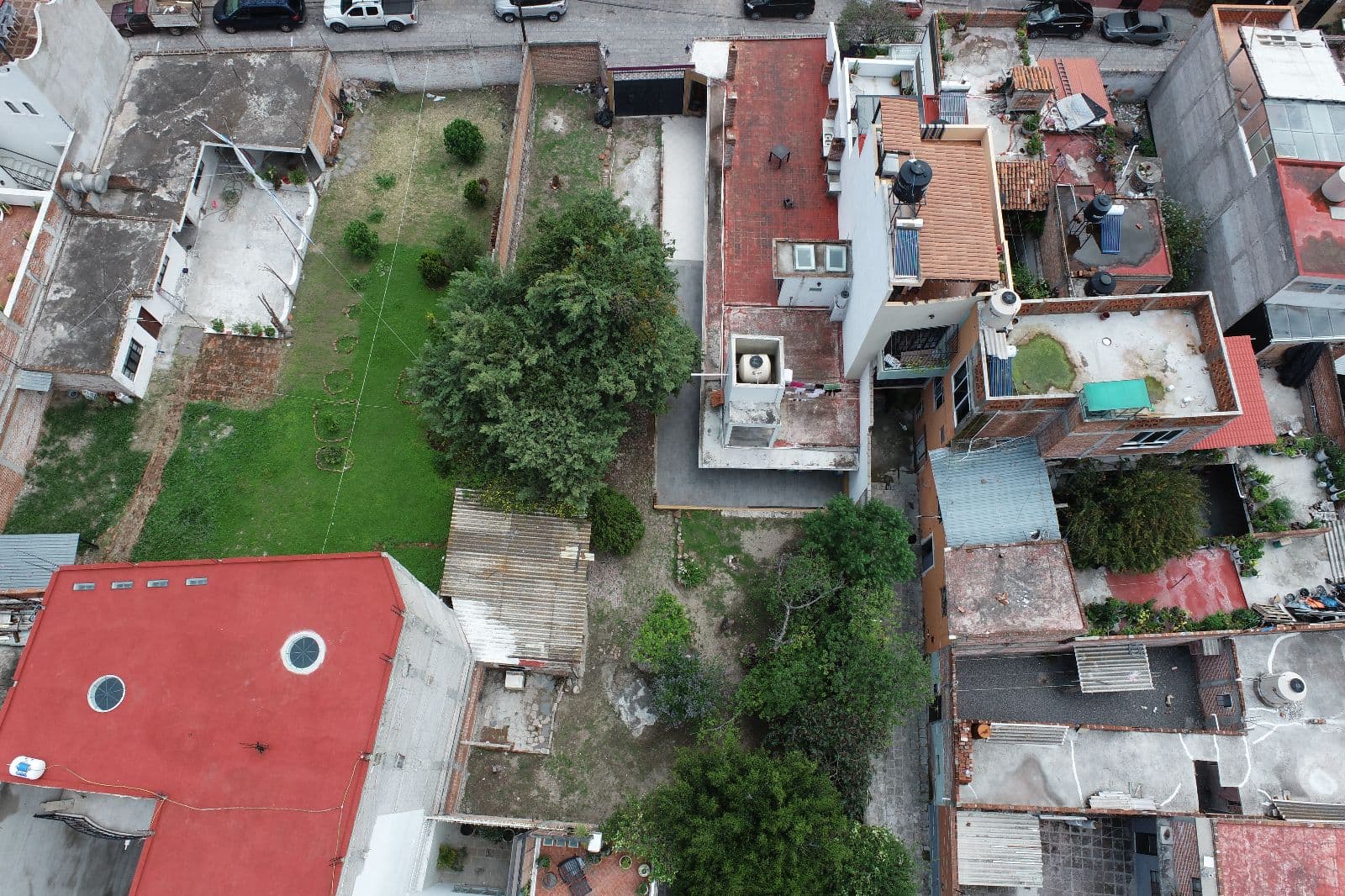 Casa Orizaba 82 — San Antonio, San Miguel de Allende — photo 10 — verdant grounds, charming urban garden sanctuary