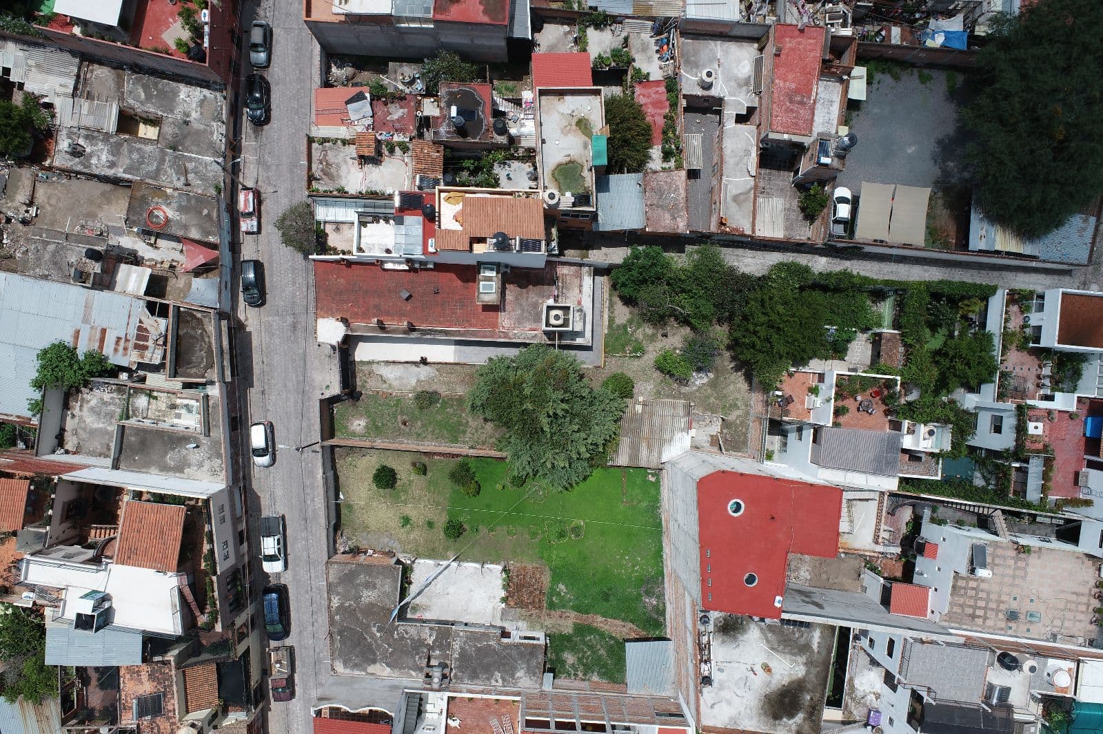Casa Orizaba 82 — San Antonio, San Miguel de Allende — photo 8 — verdant garden, charming neighborhood potential
