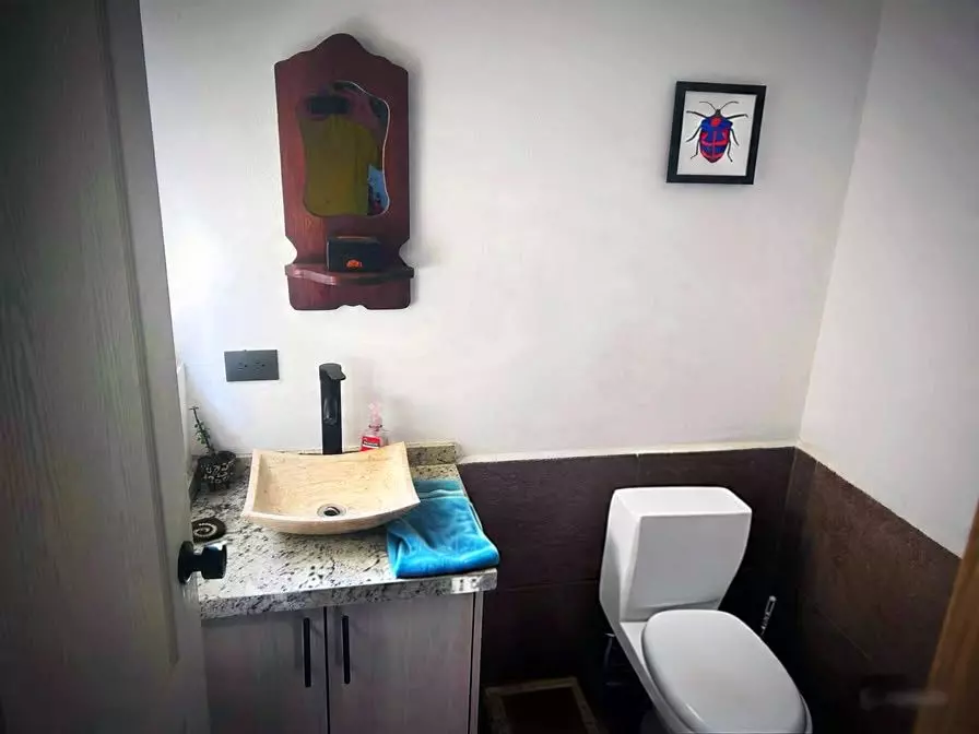 House of Art — San Rafael, San Miguel de Allende — photo 2 — charming rustic powder room with artisan touches