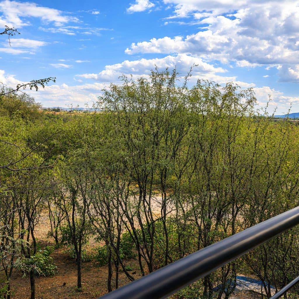 Modern Luxury Home with Casita & Pool in Los Senderos — Los Senderos, Valle de los, San Miguel de Allende — photo 21 — expansive vineyard views, verdant rolling hills