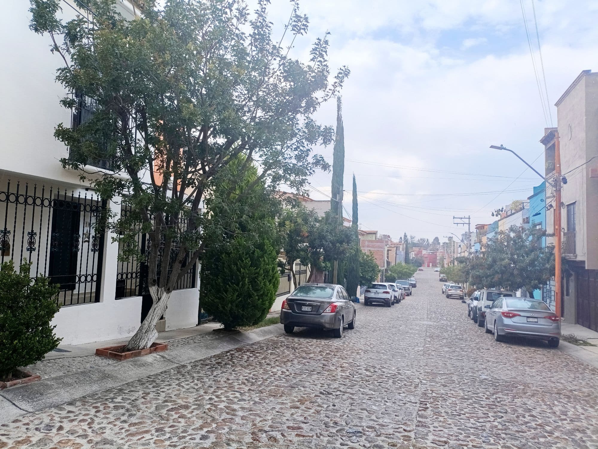 Casa Sauz — Las Brisas, San Miguel de Allende — photo 23 — charming colonial street, tree-lined elegance