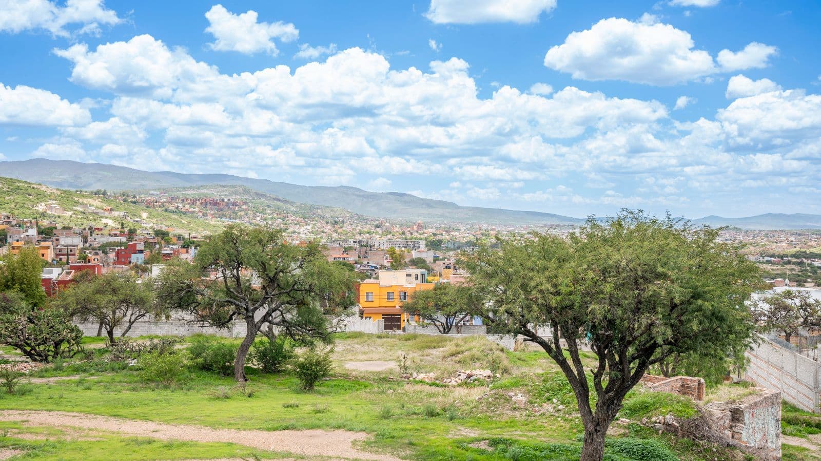 Casa de Tomas — La Lomita, San Miguel de Allende — photo 23 — panoramic valley views, mature garden sanctuary