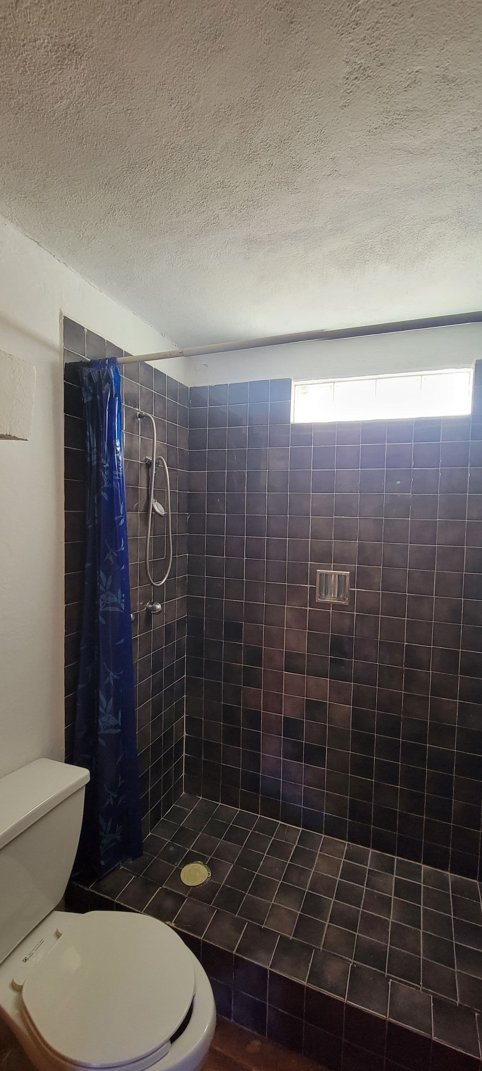 Casa Tucevich — El Obraje, San Miguel de Allende — photo 12 — charming tile shower, abundant natural light