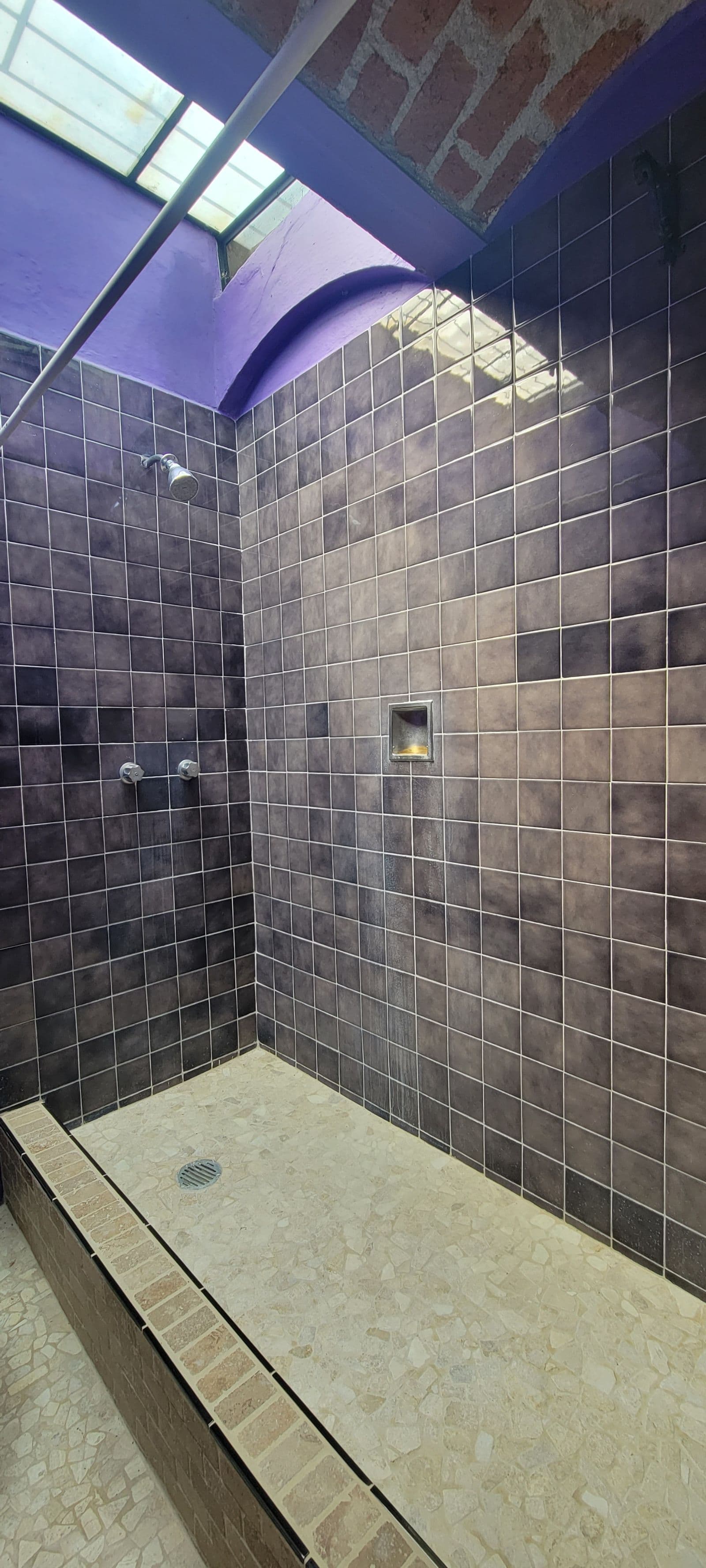 Casa Tucevich — El Obraje, San Miguel de Allende — photo 22 — contemporary spa-inspired shower sanctuary