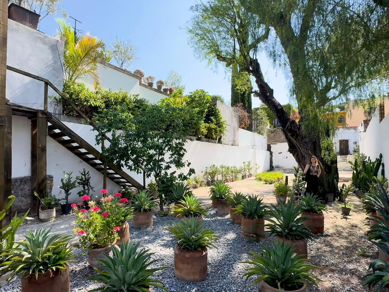 Barranca 67, A Rare Opportunity in Centro — Centro, San Miguel de Allende — photo 15 — charming courtyard with mature specimen trees