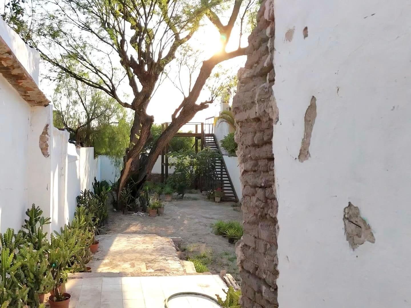 Barranca 67, A Rare Opportunity in Centro — Centro, San Miguel de Allende — photo 25 — serene courtyard, golden sunlight, mature trees