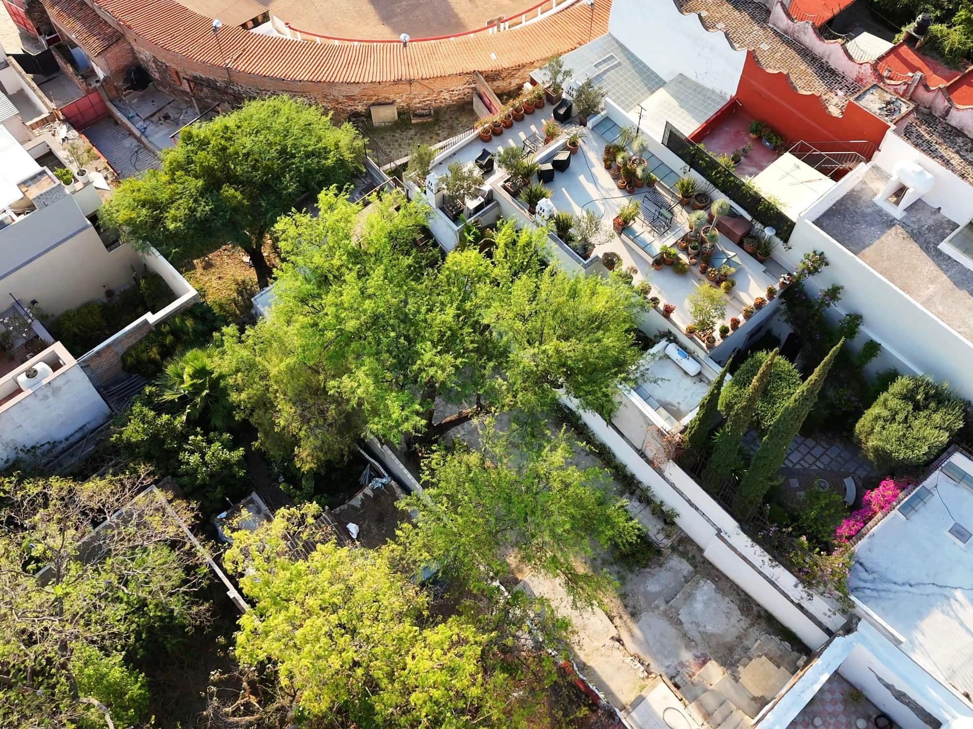Barranca 67, A Rare Opportunity in Centro — Centro, San Miguel de Allende — photo 4 — lush courtyard oasis, architectural charm