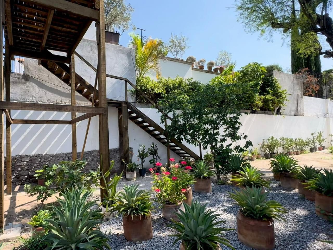 Barranca 67, A Rare Opportunity in Centro — Centro, San Miguel de Allende — photo 16 — serene courtyard with lush botanical gardens
