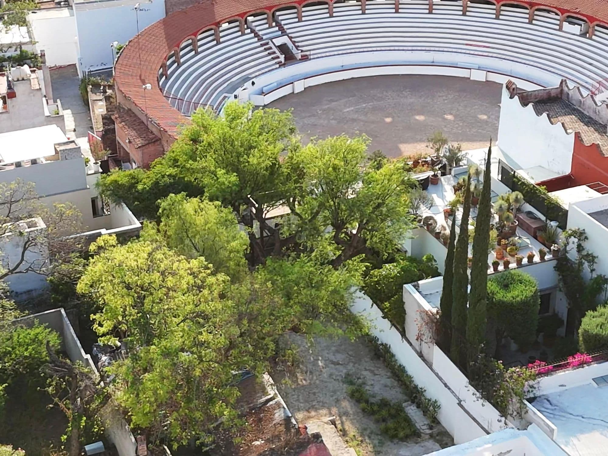 Barranca 67, A Rare Opportunity in Centro — Centro, San Miguel de Allende — photo 24 — lush courtyard, historic bullring views