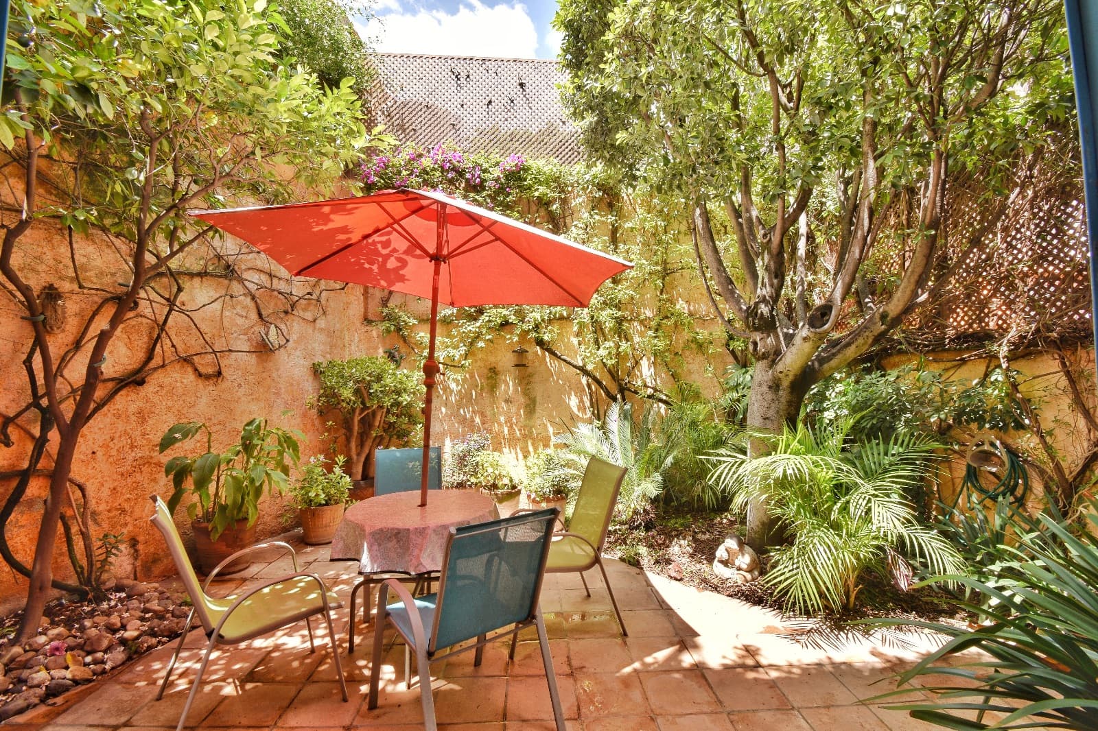 Casa Colores — Guadalupe, San Miguel de Allende — photo 11 — charming courtyard oasis, dappled shade