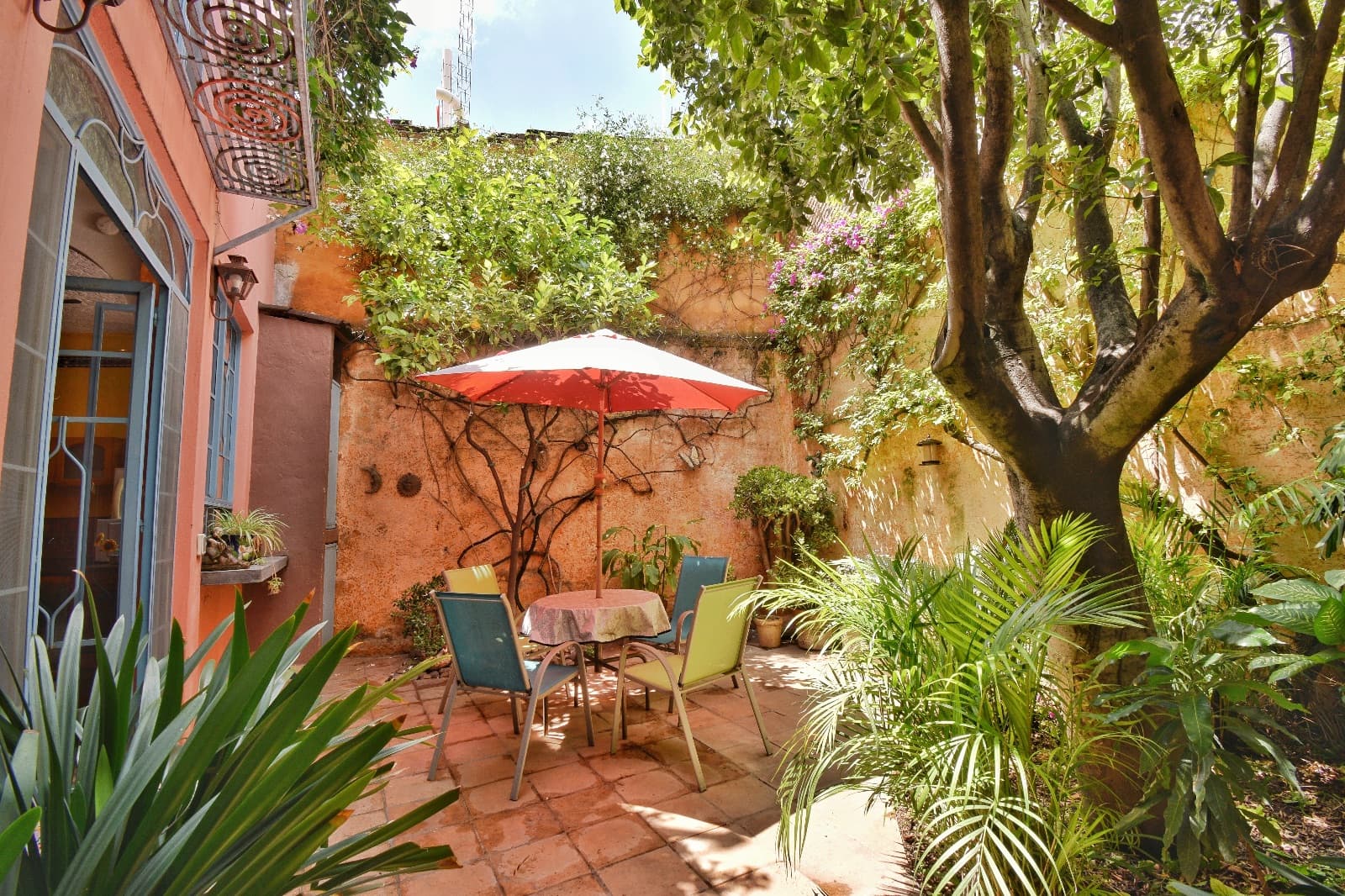 Casa Colores — Guadalupe, San Miguel de Allende — photo 10 — enchanting courtyard oasis, dappled shade