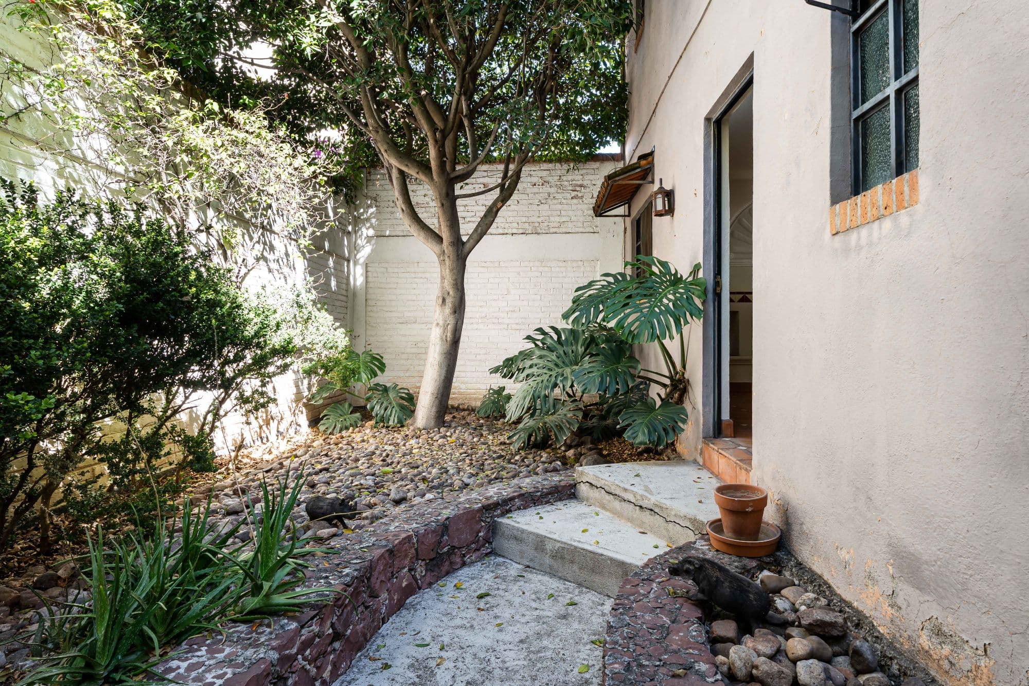 Casa Hidden Nook — San Antonio, San Miguel de Allende — photo 11 — serene courtyard with mature shade tree