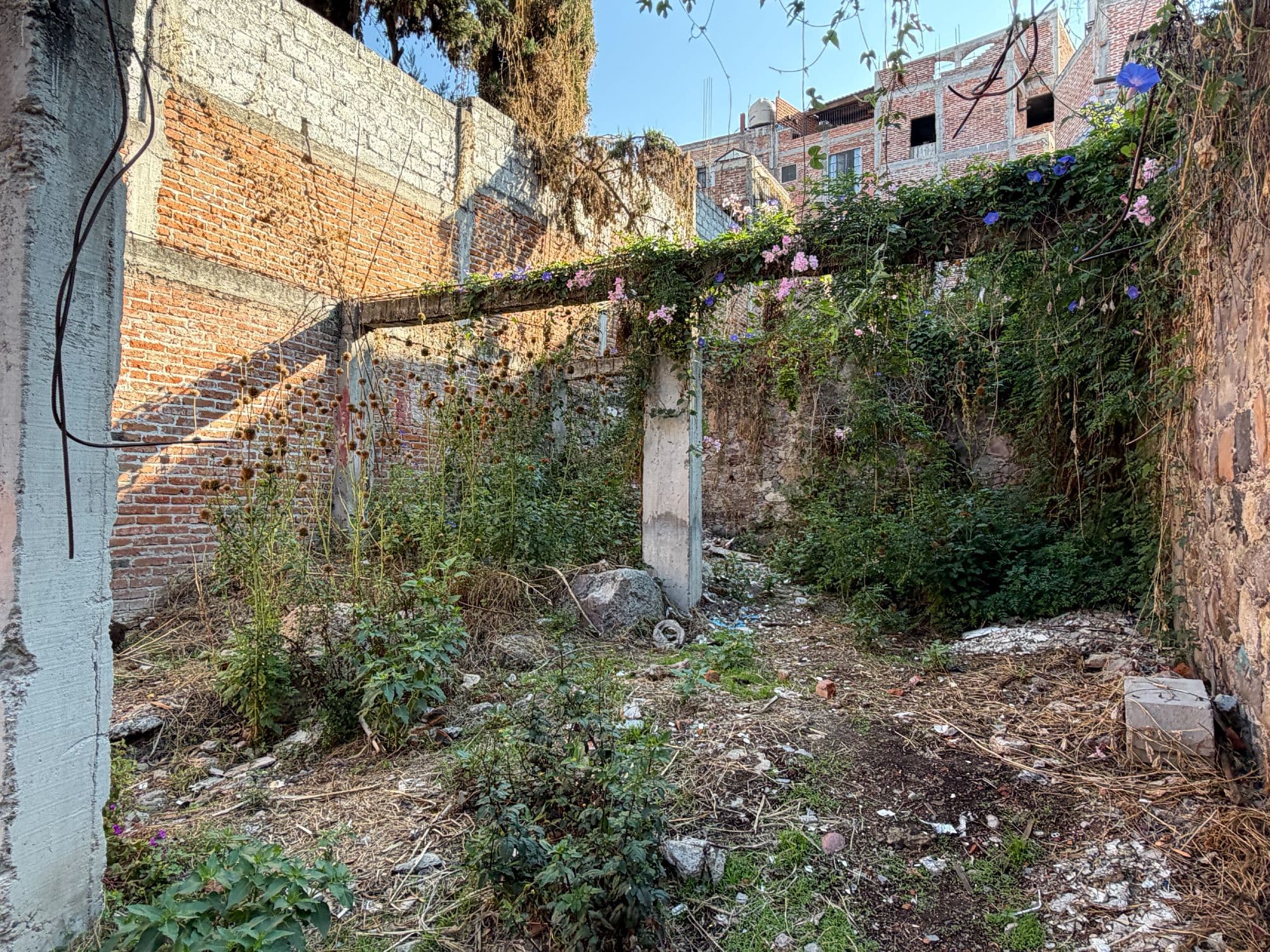 Lote Atascadero — Centro, San Miguel de Allende — photo 5 — charming sun-drenched courtyard with potential
