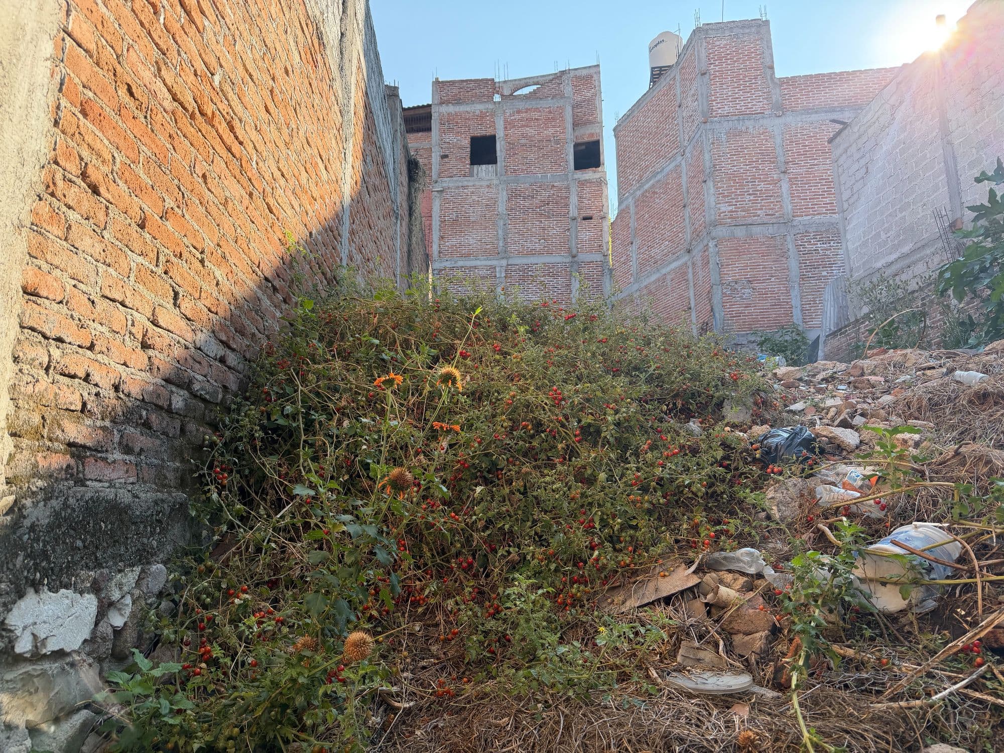 Lote Atascadero — Centro, San Miguel de Allende — photo 8 — rustic courtyard with development potential