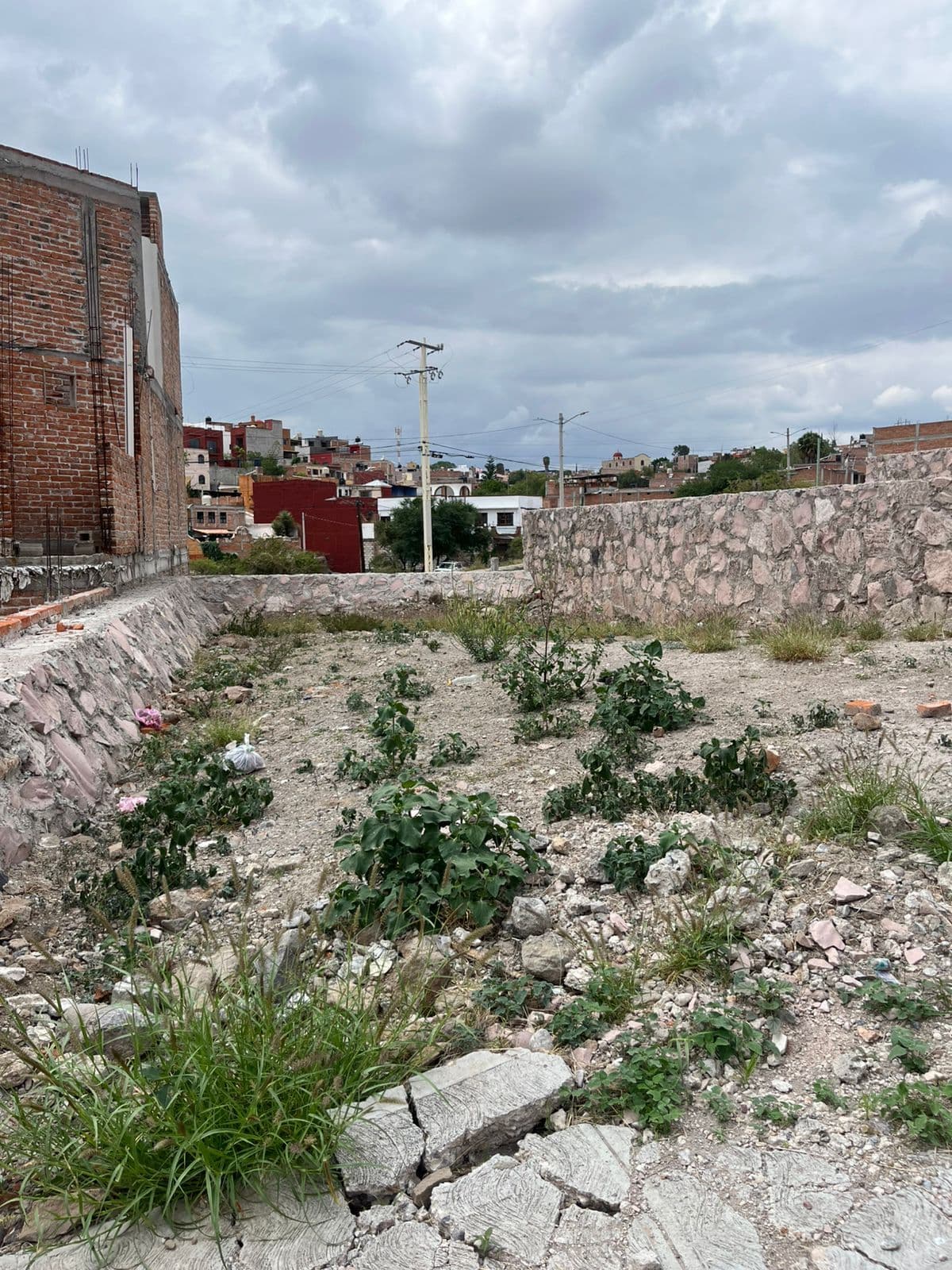 Terreno colonia San Rafael — San Rafael, San Miguel de Allende — photo 4 — rustic land awaits creative vision