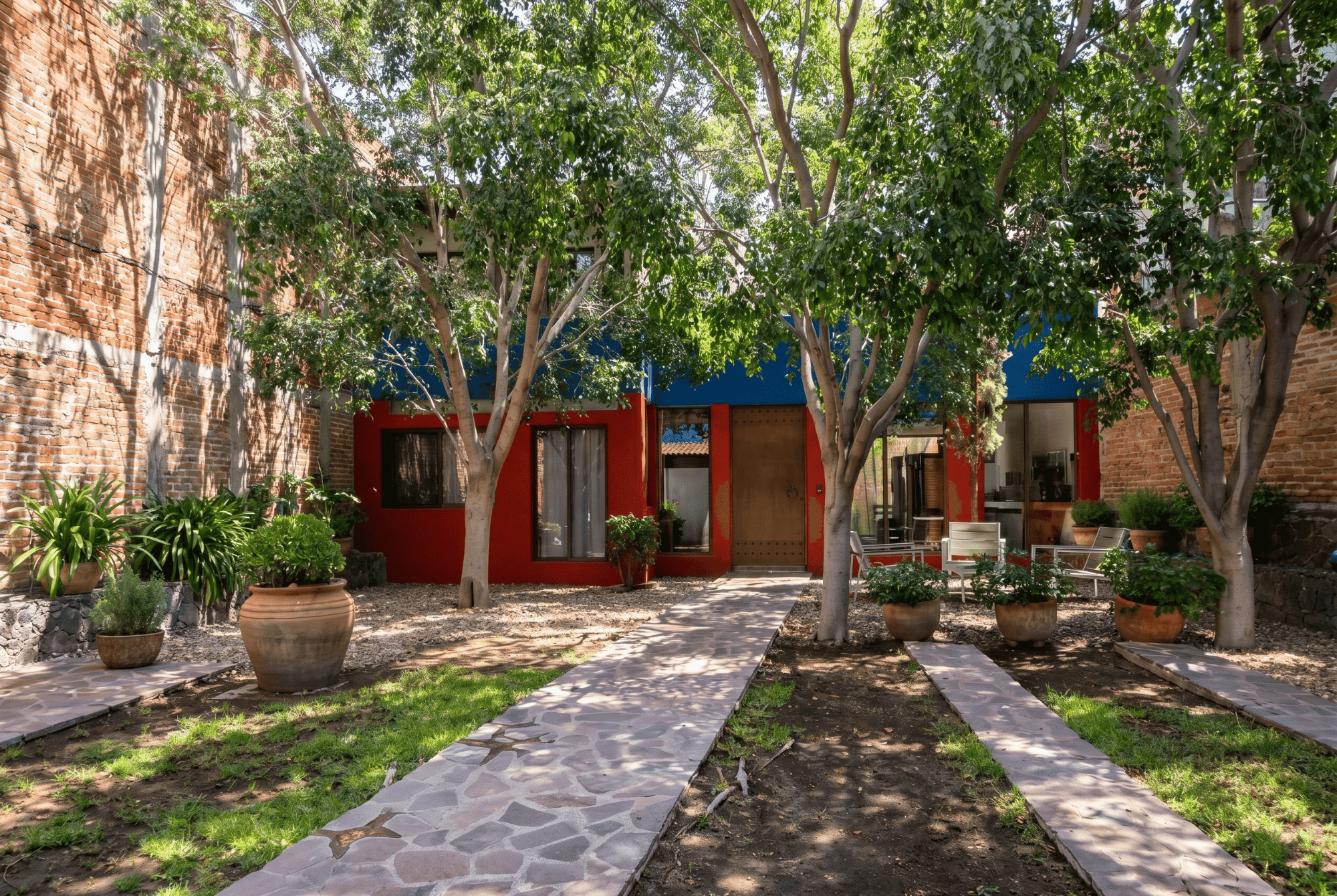 Casa Toro — San Miguel de Allende Centro, San Miguel de Allende — photo 3 — vibrant courtyard, mature shade trees