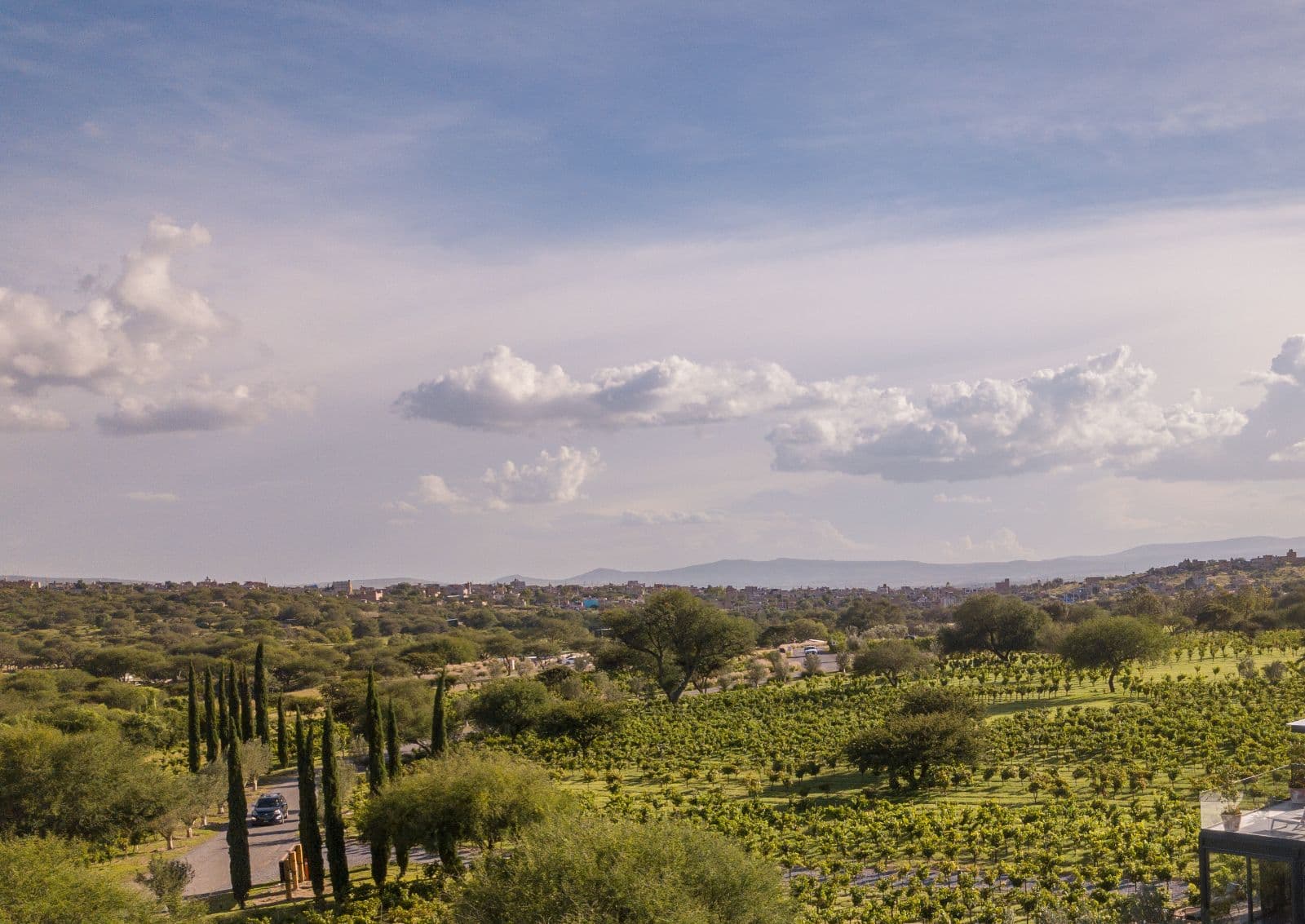 L6 SENDEROS — Los Senderos, Valle de los, San Miguel de Allende — photo 2 — panoramic vineyard views, serene countryside charm