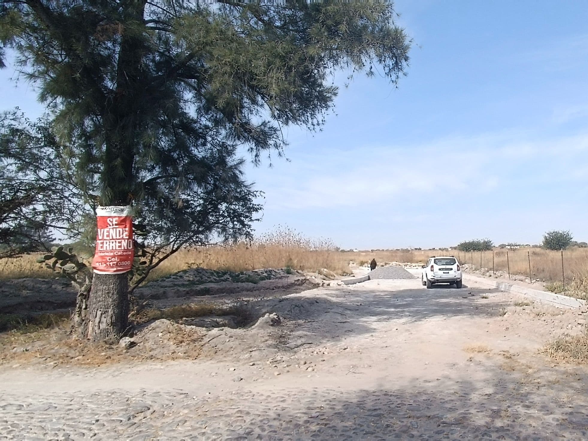 Fraccionamiento Eben Ezer La Vivienda 29 — San Miguel de Allende Centro, San Miguel de Allende — photo 2 — expansive land with mature shade trees