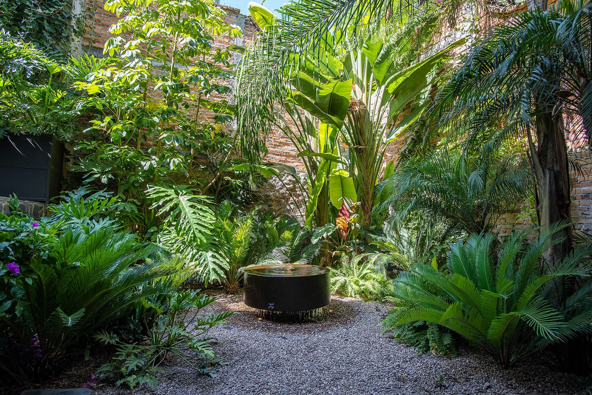 CASA CLARA — Centro, San Miguel de Allende — photo 4 — lush tropical courtyard oasis