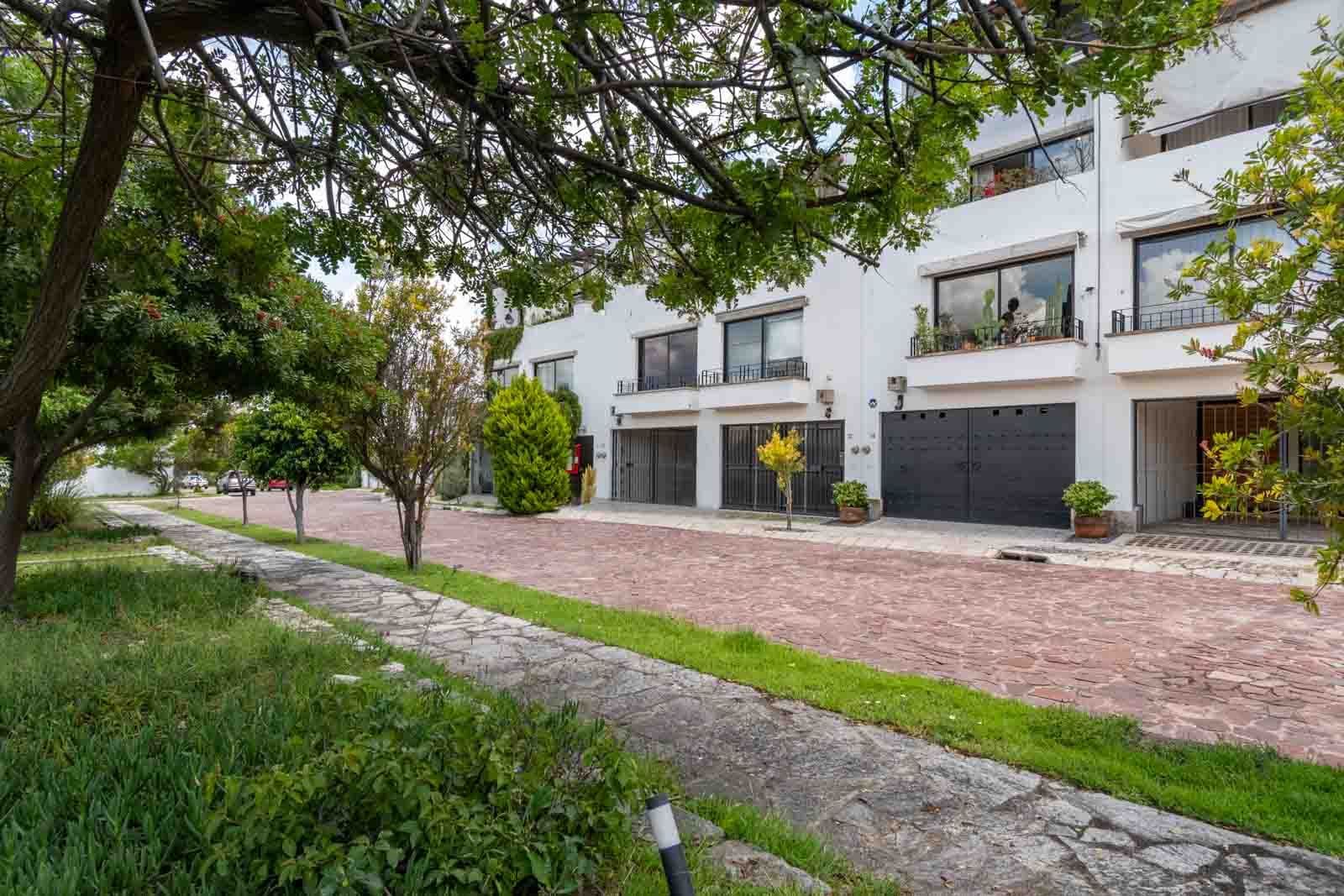 Casa Blanca — Centro, San Miguel de Allende — photo 26 — sophisticated modern courtyard, mature gardens