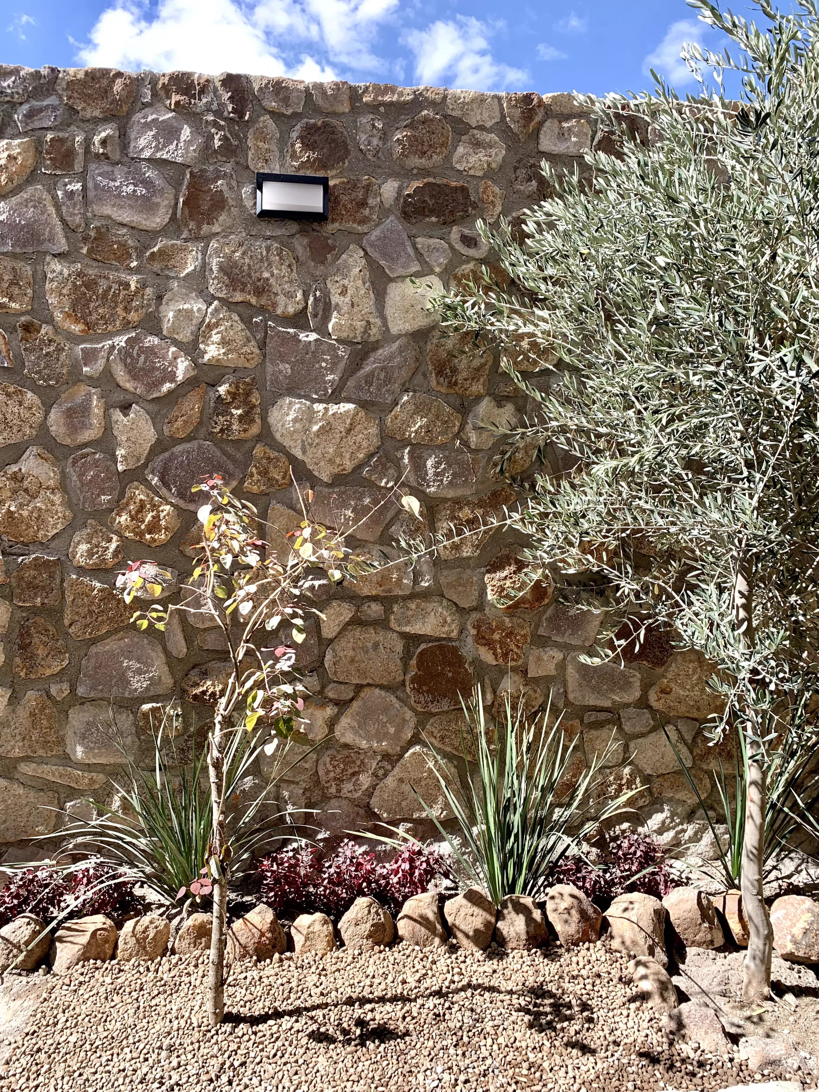 Casa San Carlos — San Rafael, San Miguel de Allende — photo 18 — rustic stone wall, manicured garden sanctuary