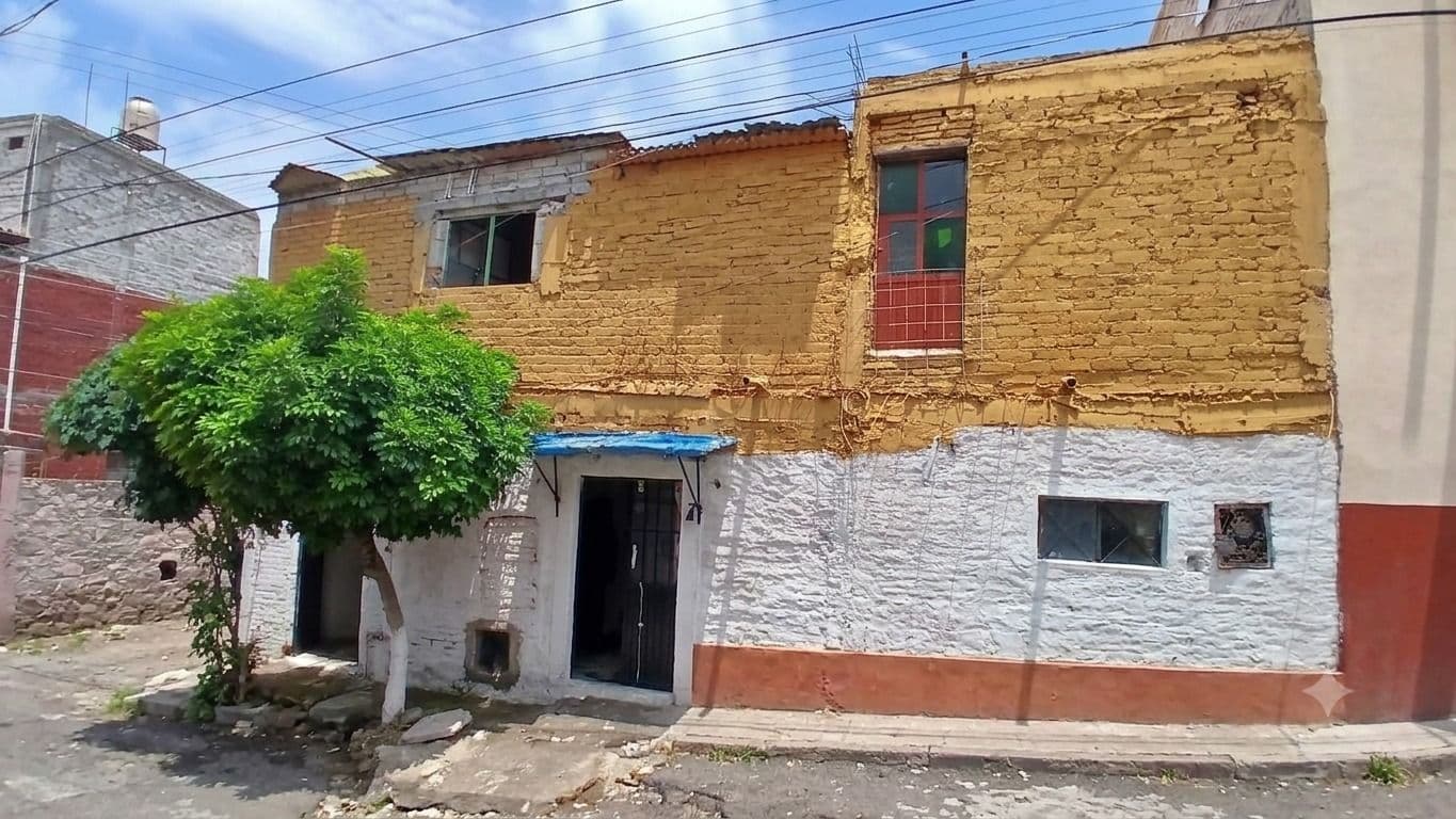 Fixer Upper Toro y Palmas