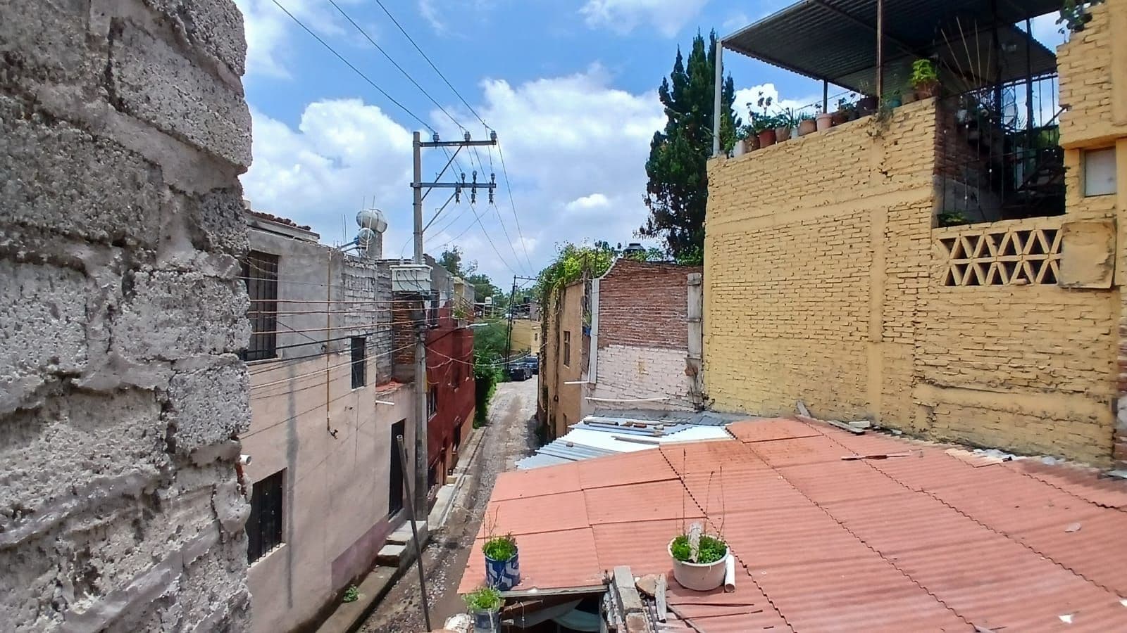 Fixer Upper Toro y Palmas — San Antonio, San Miguel de Allende — photo 5 — charming rooftop terrace with potential