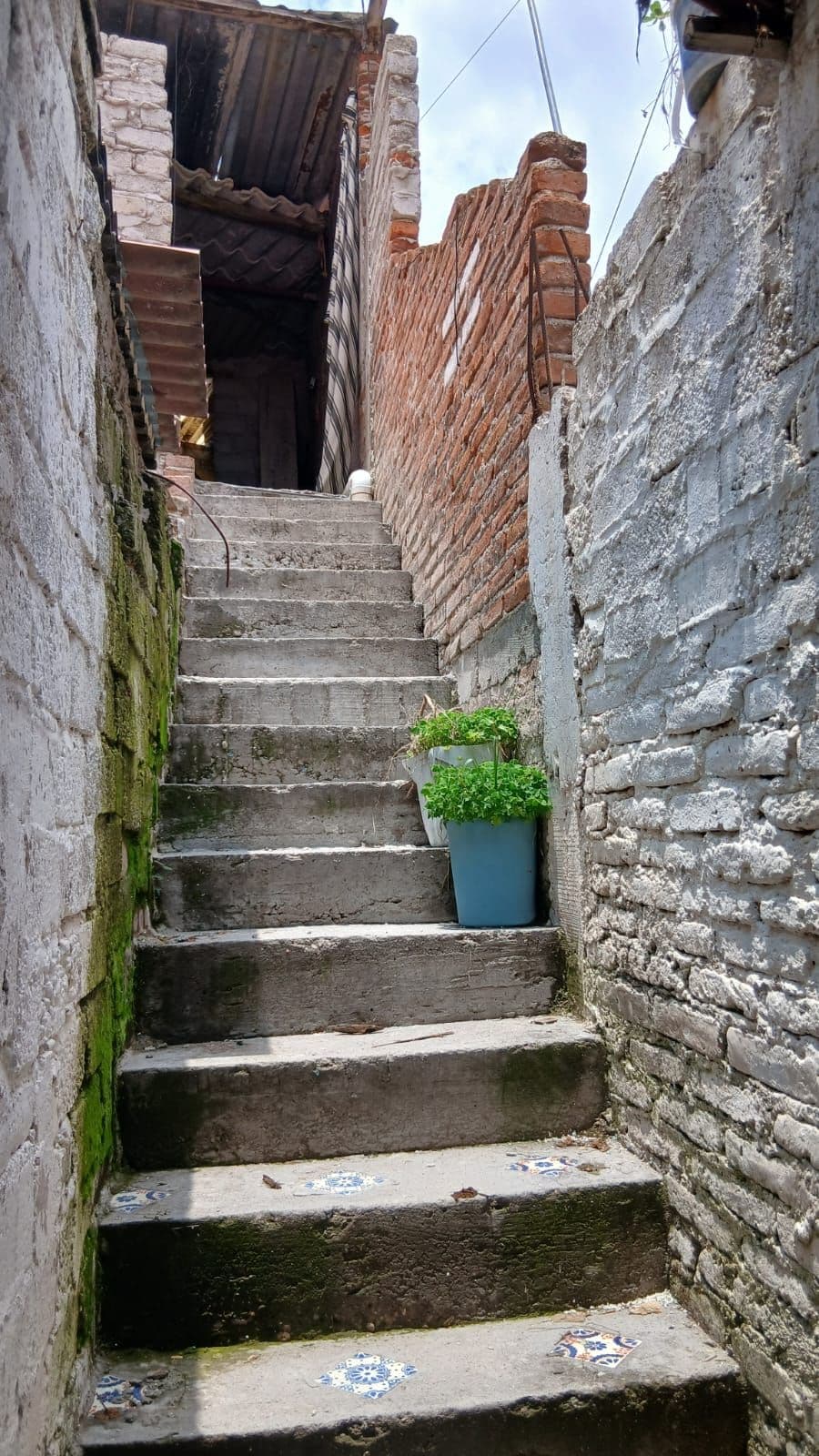 Fixer Upper Toro y Palmas — San Antonio, San Miguel de Allende — photo 10 — charming cobblestone passageway, authentic colonial character