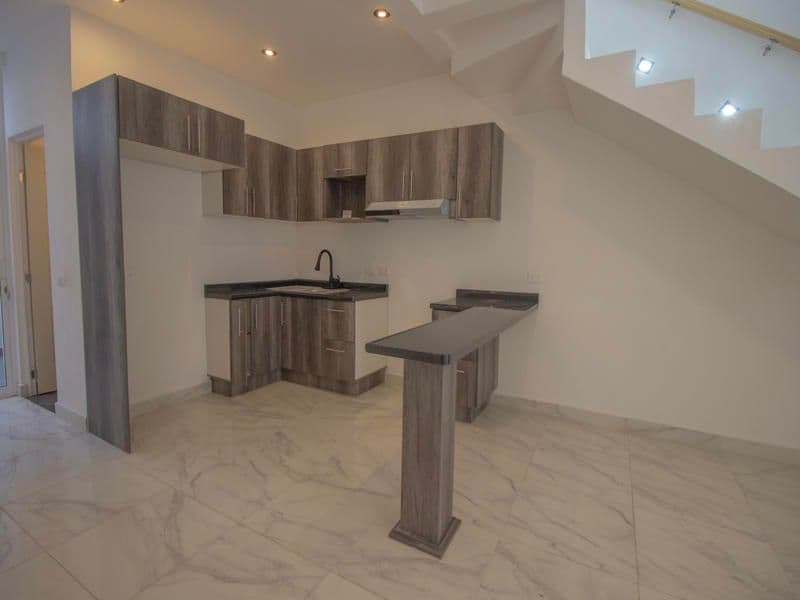 1952 Margarito Ledesma — San Miguel de Allende Centro, San Miguel de Allende — photo 19 — modern kitchen with open floor plan