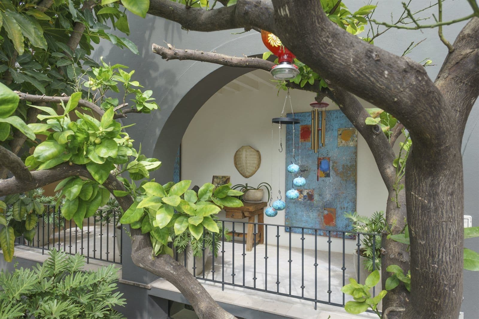 Casa Arcadia — Centro, San Miguel de Allende — photo 10 — charming courtyard with mature shade trees