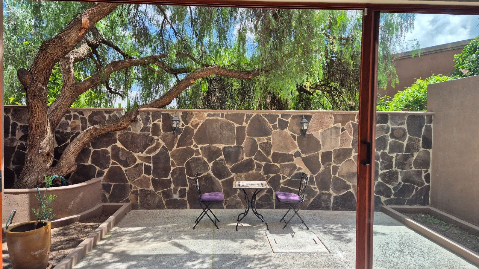 Casa de Llano — La Palmita, San Miguel de Allende — photo 5 — serene courtyard with mature shade trees