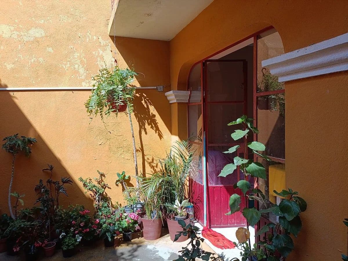 Casa Juan Aldama-Fixer Upper — San Rafael, San Miguel de Allende — photo 9 — charming courtyard with golden sunlight