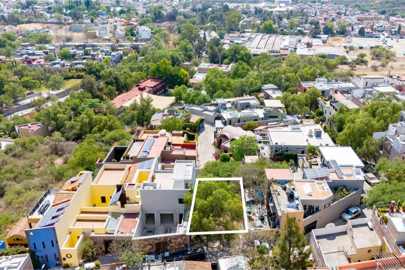 El Obraje Lot — El Obraje, San Miguel de Allende — photo 6 — verdant rooftop oasis, panoramic city views