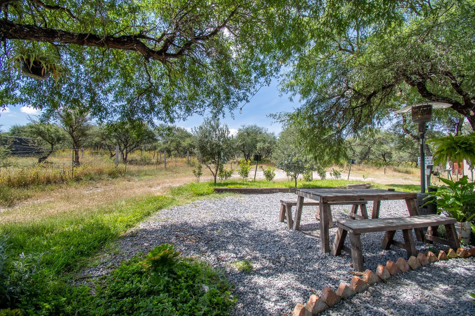 Cielo y Tierra — El Cortijo, San Miguel de Allende — photo 15 — rustic retreat with mature shade trees