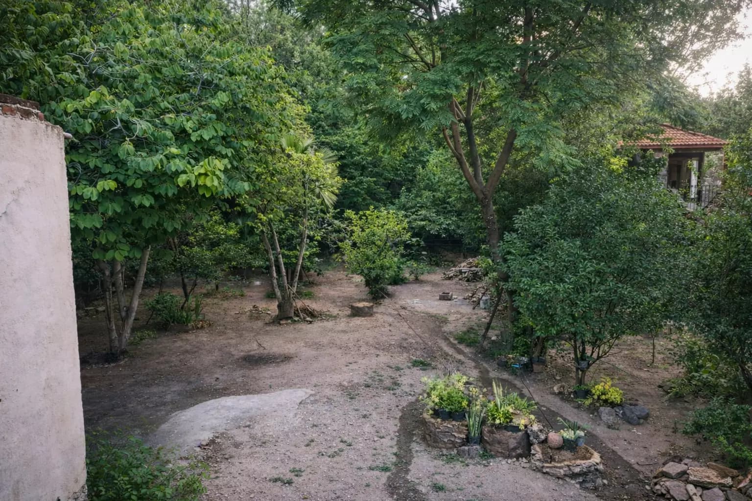 Terreno con frente comercial — Centro, San Miguel de Allende — photo 5 — verdant garden oasis, authentic colonial charm