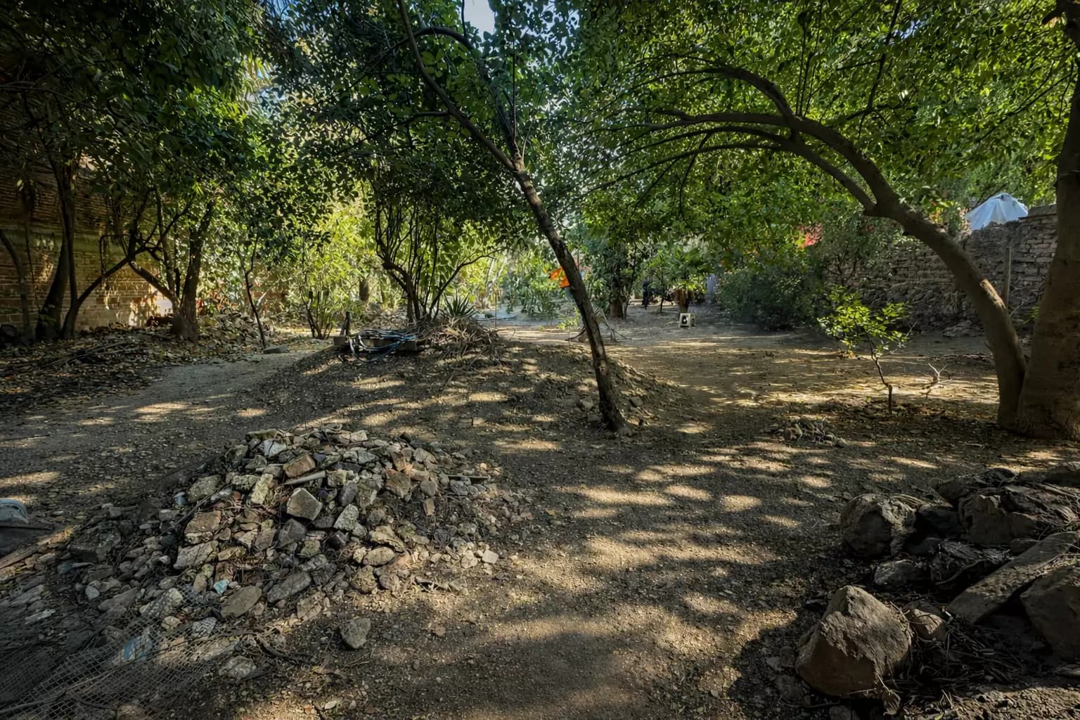 Terreno con frente comercial — Centro, San Miguel de Allende — photo 6 — mature shade trees, rustic stone courtyard