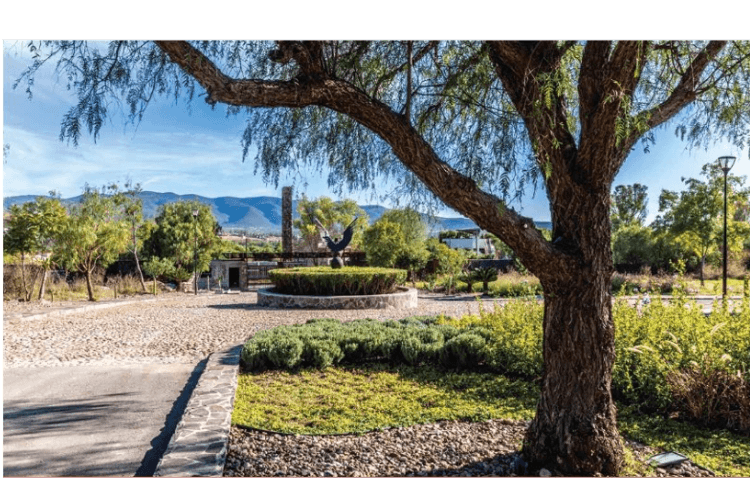 Manzana 7 Lote 46 — Las Campanas, San Miguel de Allende — photo 9 — mature shade trees, mountain vistas, serene grounds
