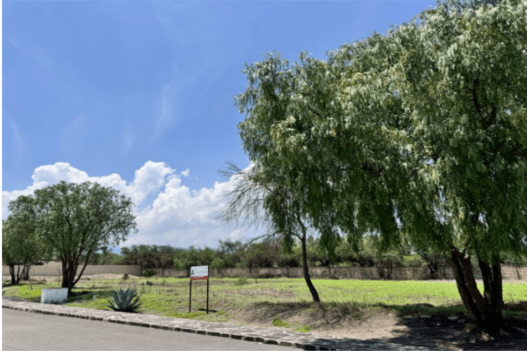 Manzana 7 Lote 46 — Las Campanas, San Miguel de Allende — photo 10 — sprawling land with mature shade trees