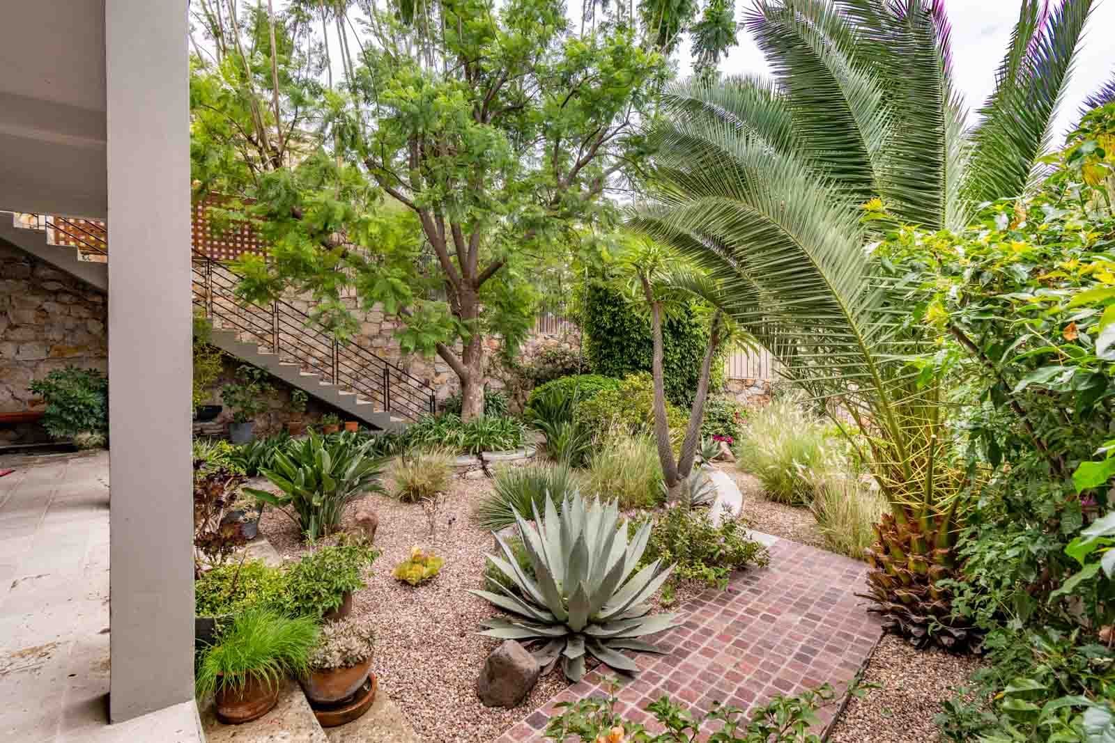 Contemporary Obraje — El Obraje, San Miguel de Allende — photo 13 — lush tropical courtyard oasis