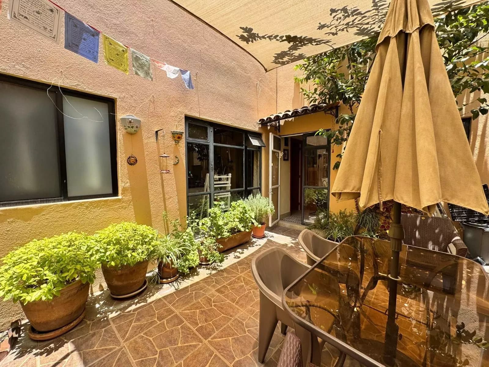 Casa Fuente del Moro — Atascadero (Arcos de San Miguel), San Miguel de Allende — photo 21 — sun-drenched courtyard with mature gardens