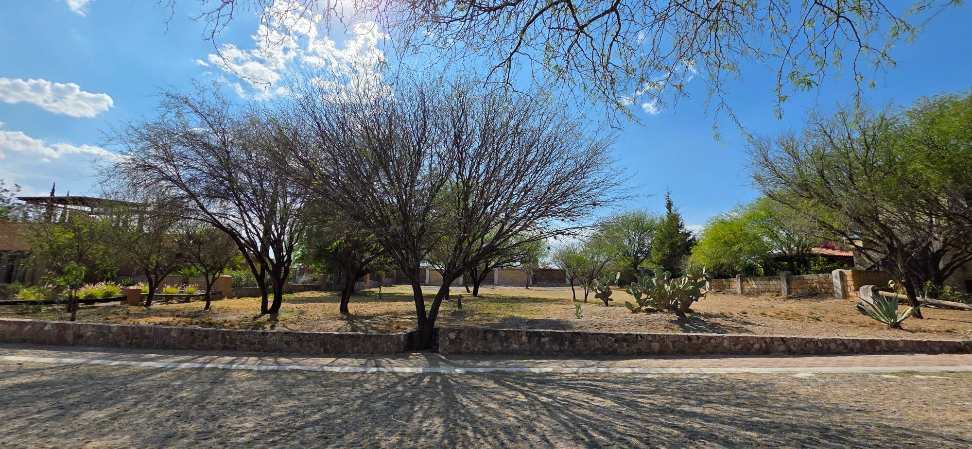 Lot for Sale in Los Labradores — Los Labradores, San Miguel de Allende — photo 15 — mature shade trees, serene grounds