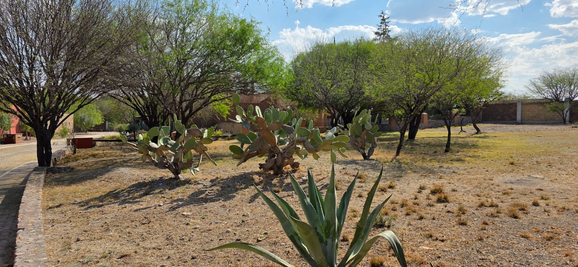 Lot for Sale in Los Labradores — Los Labradores, San Miguel de Allende — photo 11 — mature gardens, authentic mexican hacienda charm
