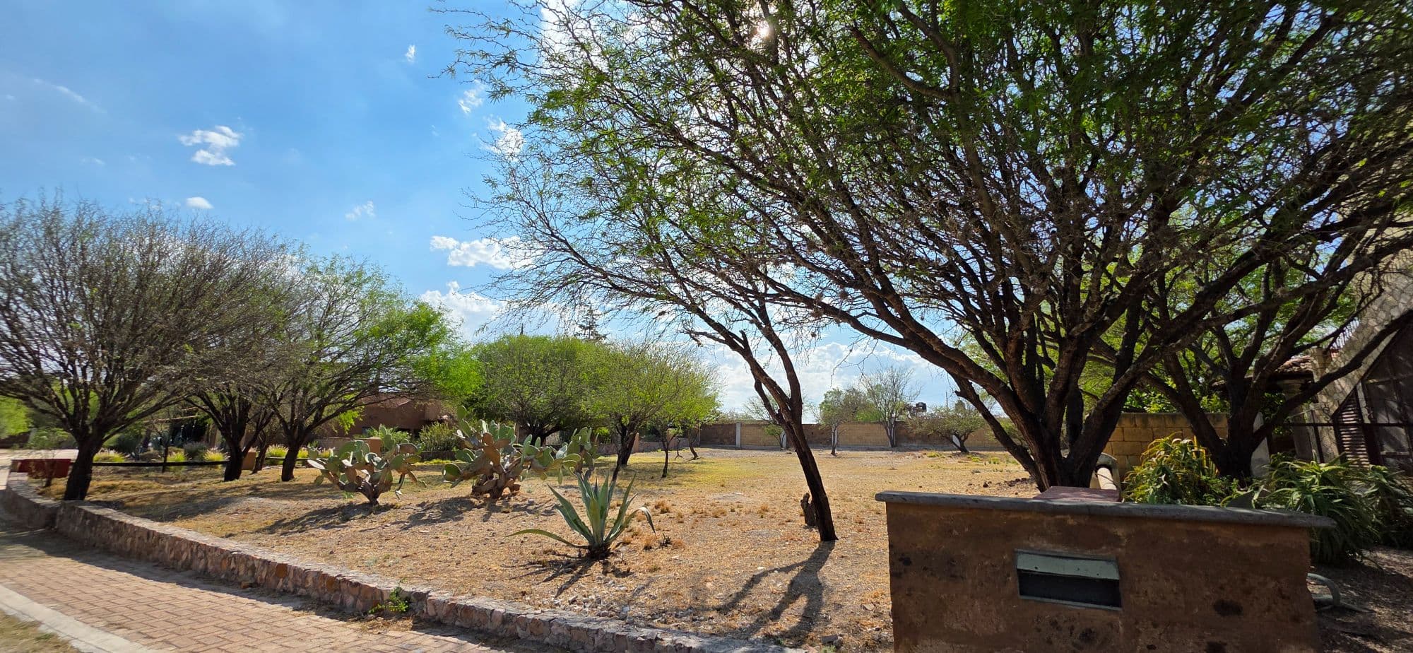 Lot for Sale in Los Labradores — Los Labradores, San Miguel de Allende — photo 2 — mature tree-lined courtyard oasis
