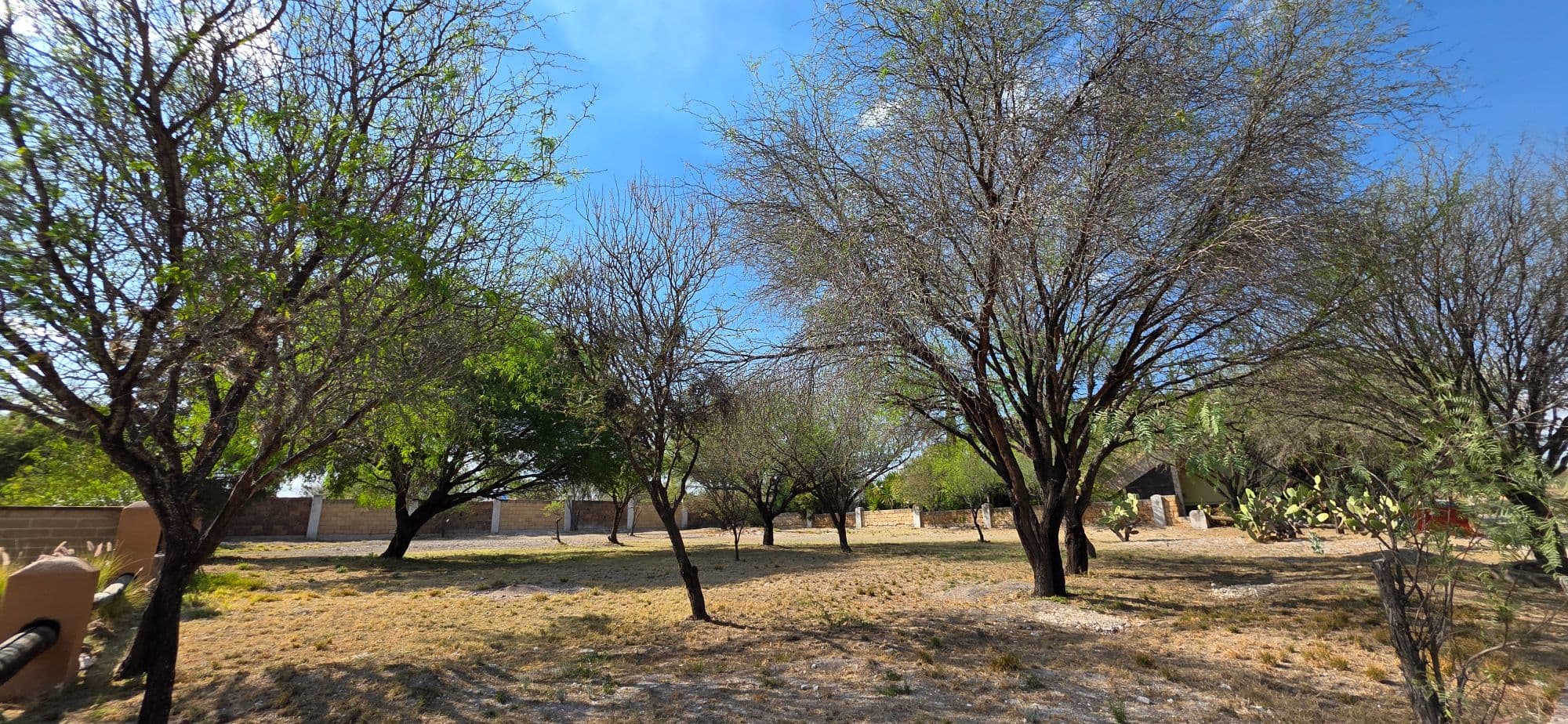 Lot for Sale in Los Labradores — Los Labradores, San Miguel de Allende — photo 4 — mature tree-lined pastoral grounds
